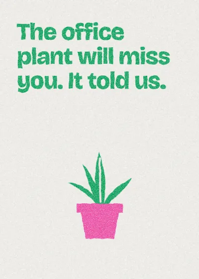 A pot plant. The office plant will miss you. It told us.