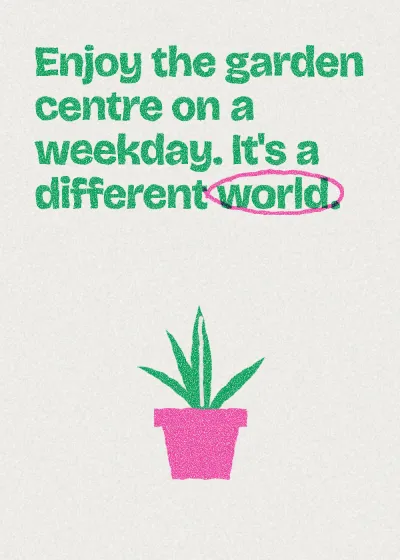 A pot plant. Enjoy the garden centre on a weekday. It's a different world.